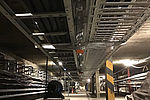 morepic-1