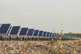 Hard grounds and rocks