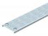 morepic-1
